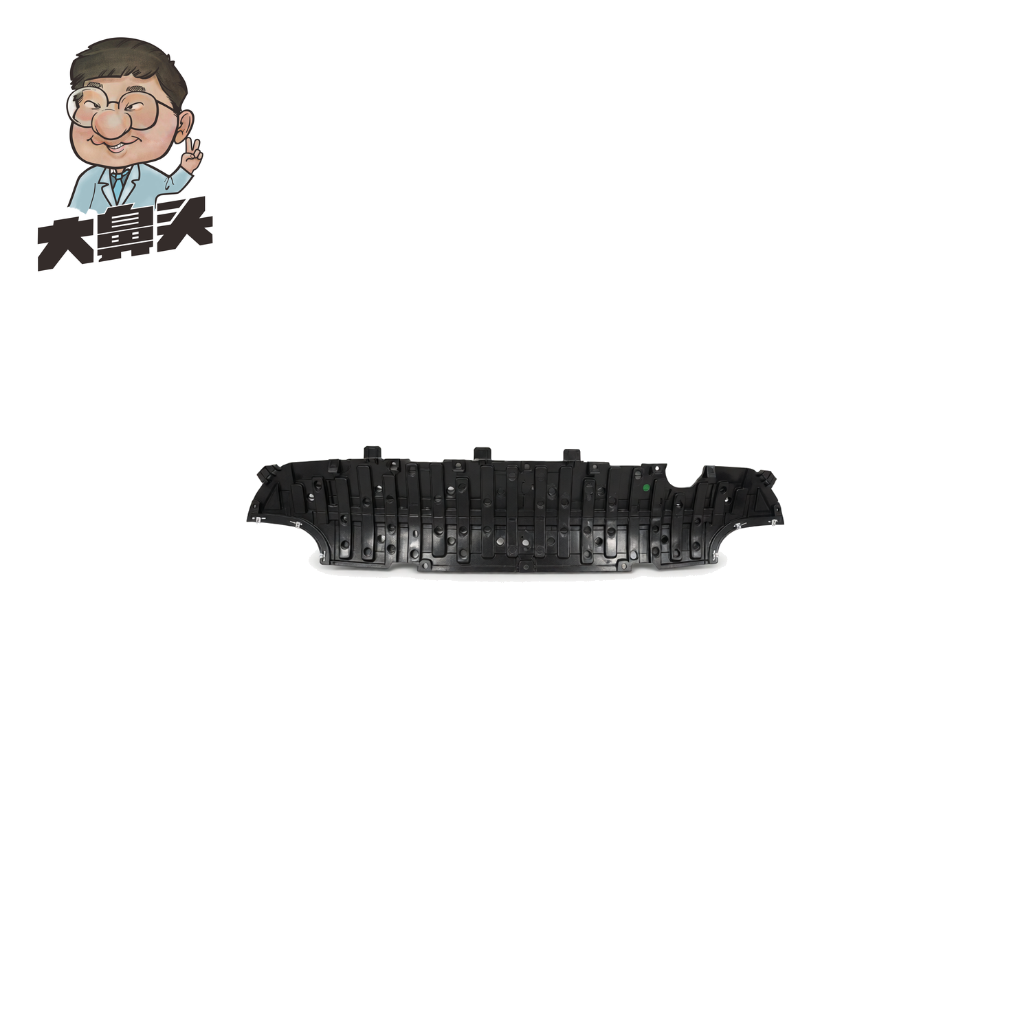 Trunk Lower Shield · BN-2672129