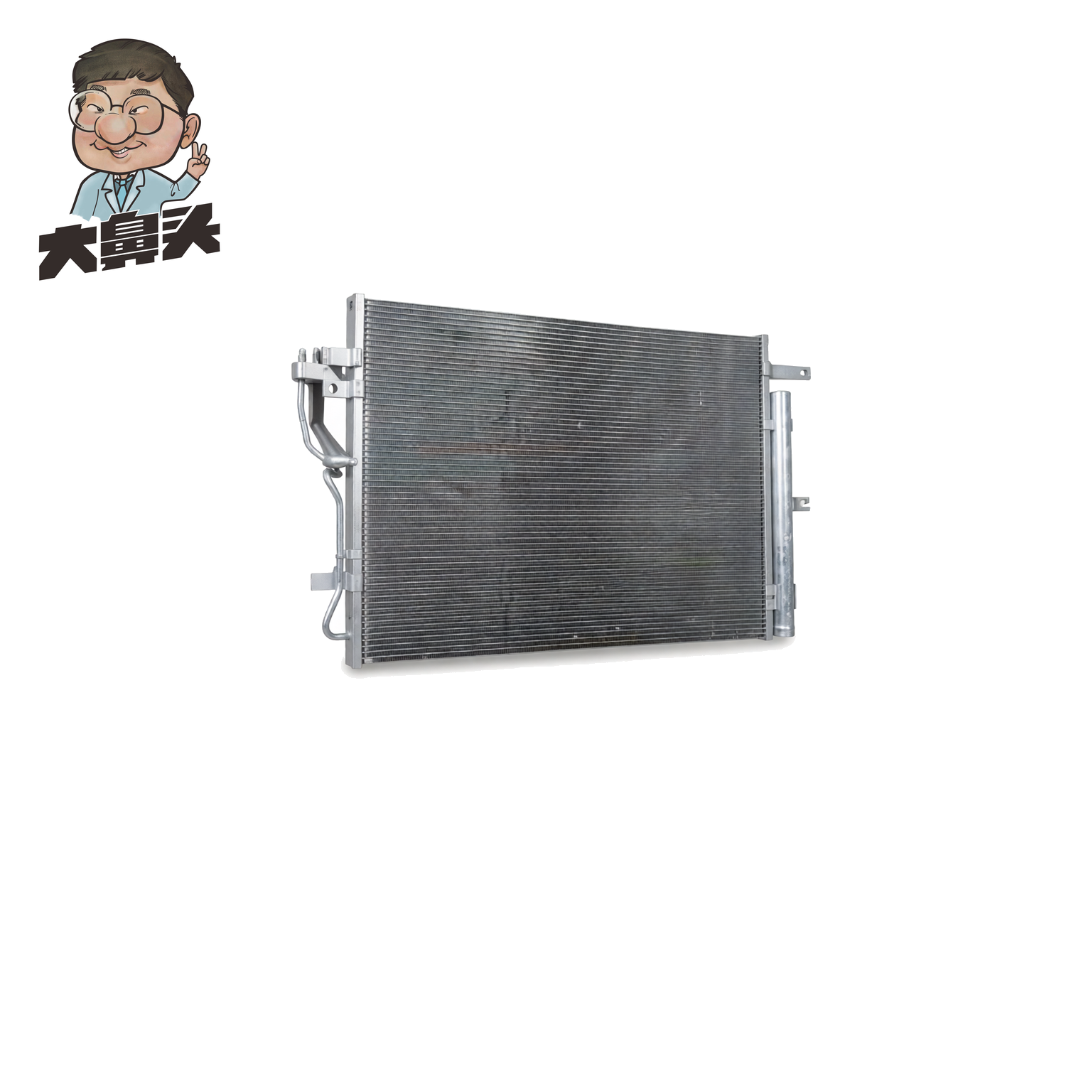 Radiator · BN-2672234